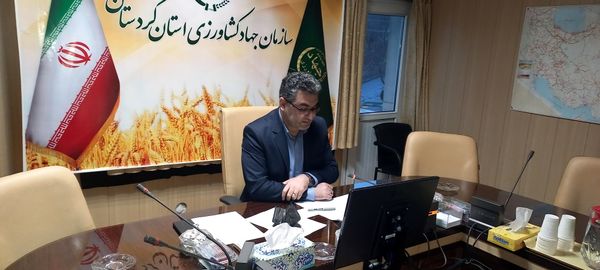 بالغ بر  44 میلیون  قطعه جوجه ریزی در استان کردستان از ابتدای سال جاری