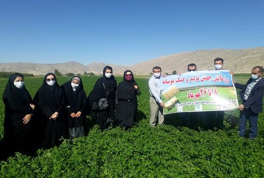 بسیج همگام با کشاورز در فیروزآباد اجرایی شد 