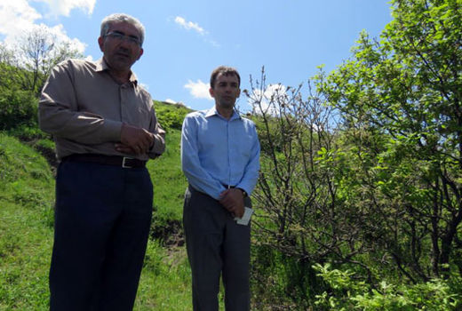 طغیان آفت پروانه دُم قهوه‌ای در جنگلهای ارسباران و مناطق جنگلی شهرستان اهر