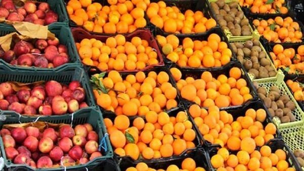 توزیع میوه شب عید اصفهان از هفته آینده