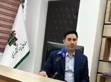 طرح جدید دولت برای بیمه رایگان ۱۷ محصول کشاورزی از مهر ماه