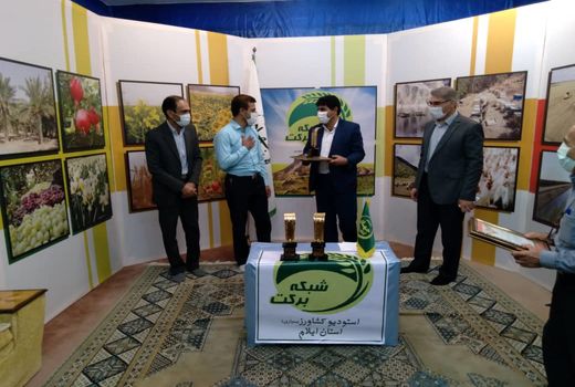 اهدای دیپلم افتخار به سه نفر از برگزیدگان استانی جشنواره رسانه ای شهید آوینی