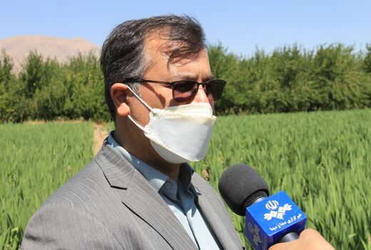 خشکسالی 3 هزار میلیارد تومان به بخش کشاورزی خسارت وارد کرد 