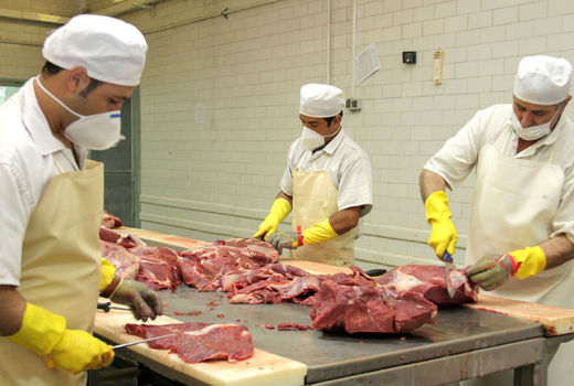 بهبود تولید مواد پروتئینی در خراسان رضوی