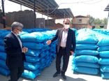 تولید ۲۶ هزار تن بذر گندم آبی و دیم در استان لرستان