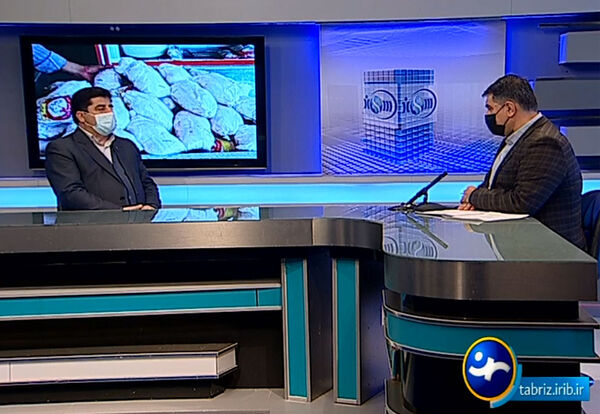 جوجه ریزی ماهانه 4.2 میلیون قطعه  در آذربایجان شرقی
