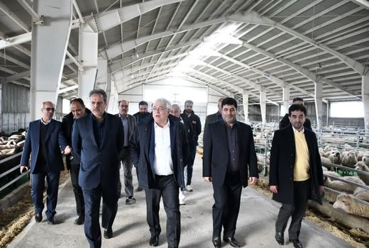 کارآفرینان و سرمایه‌گذاران بخش کشاورزی حمایت می‌شوند