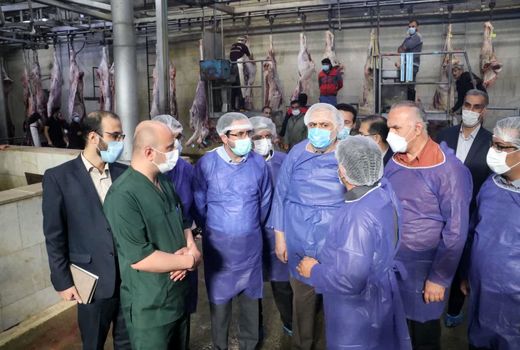 استاندار قزوین از شرکت مهر گستر سیمرغ زیاران بازدید کرد