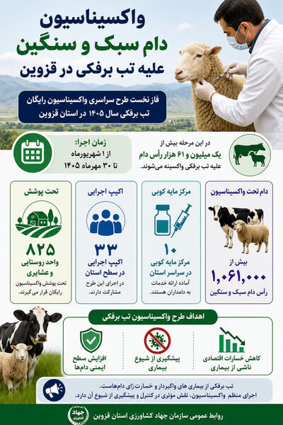 واکسیناسیون دام سبک و سنگین علیه تب برفکی در قزوین
