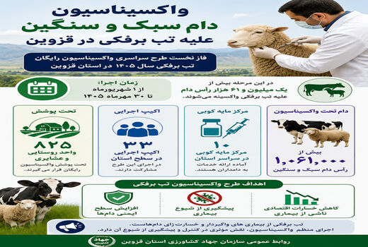 واکسیناسیون دام سبک و سنگین علیه تب برفکی در قزوین