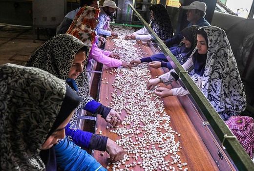 اختصاص 18هزار میلیارد تومان برای اشتغال روستایی