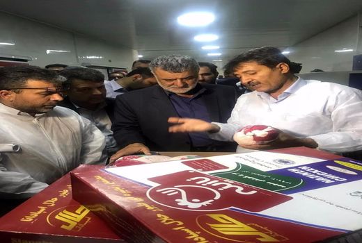 مدرنترین کشتارگاه طیور زنجیره غذا را ساختم