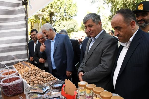 جشنواره بادام خسروشاه آغازی برای برندسازی و توسعه پایدار کشاورزی منطقه است