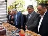 جشنواره بادام خسروشاه آغازی برای برندسازی و توسعه پایدار کشاورزی منطقه است