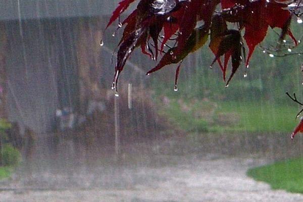 افزایش 158 درصدی بارندگی پاییزه