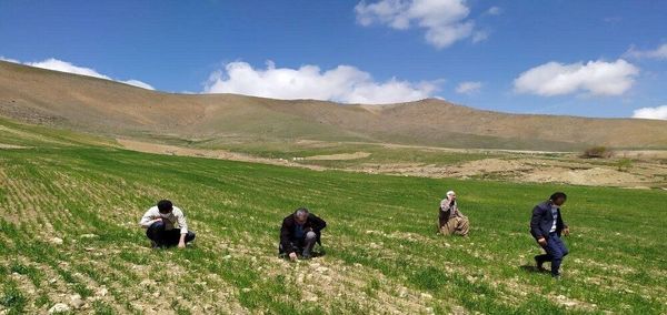 اقلیم اصفهان، موهبتی برای کشاورزی ارگانیک