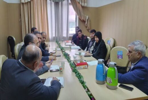 برگزاری نشست ایجاد زیرساخت تشکیل صندوق ملی زیتون در استان قزوین