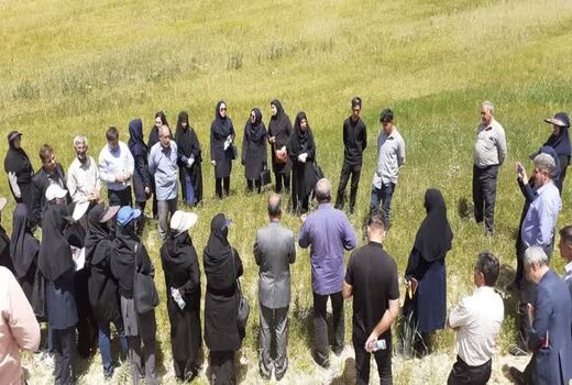 برگزاری روز مزرعه گاودانه در روستای گلهین بخش تیکمه‌داش بستان‌آباد
