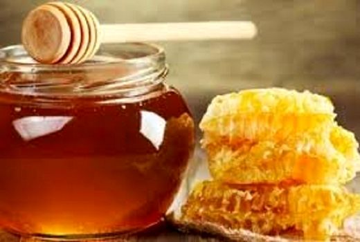 پیش بینی تولید ۷۰ تن عسل در لنگرود
