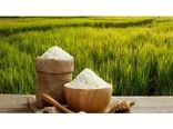 قیمت انواع برنج در بازار استان مازندران