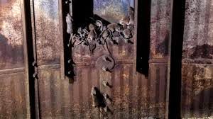 نبردی نوین با جوندگان در سیلو‌های غلات