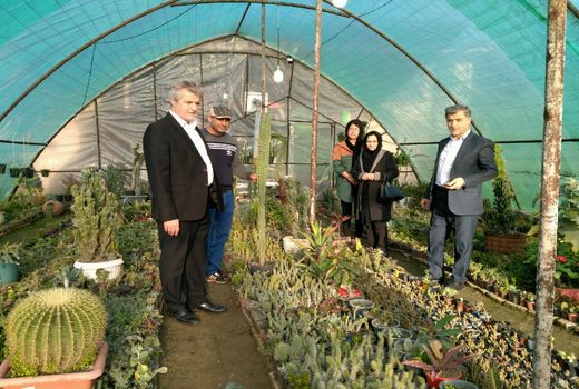 بازدید از طرح‌های باغبانی در شهرستان لاهیجان