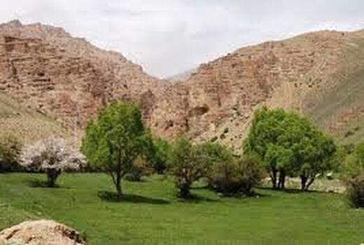 اقدامات بیولوژیکی آبخیزداری در 270هکتار از حوزه های آبخیز ملارد
