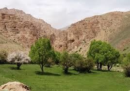اقدامات بیولوژیکی آبخیزداری در 270هکتار از حوزه های آبخیز ملارد