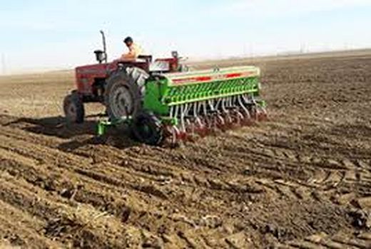 آغاز کشت غلات پاییزه در استان ایلام