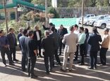 آغاز مانور تشدید نظارت بر بازار عرضه مرغ گرم در استان قزوین
