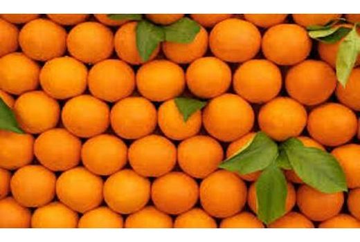 ارسال ۱۱ هزار تن پرتقال شب عید از مازندران به سراسر کشور