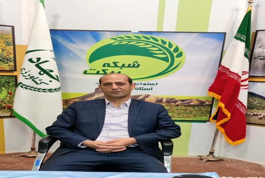 به متقاضیان کشت جایگزین در ایلام بذر رایگان داده میشود