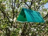 افزایش دقت در مبارزه با آفات باغی با استفاده از سامانه‌های پیش‌آگاهی در آذربایجان‌غربی