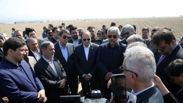 نقشآفرینی مجتمعهای کشت و صنعت در انتقال دانش و نوآوری به کشاورزان ضروری است