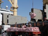 پهلوگیری ۲ کشتی حامل ۳۸ هزار تن برنج در بندر بوشهر