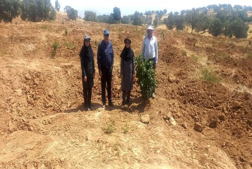  ایجاد سامانه‌های  آبگیر در باغات ممسنی