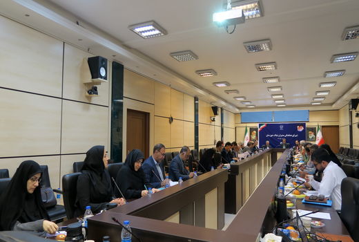 بهره‌برداری 158 واحد مشاغل خرد روستایی بخش شیلات در خوزستان 