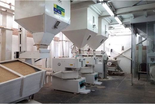 فعالیت 10 واحد سورتینگ و بسته‌بندی برنج در محمودآباد