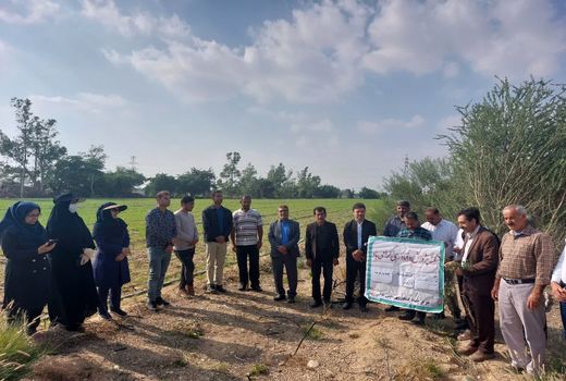 کاروان راهیان‌پیشرفت کشاورزی دانش بنیان در استان بوشهر برگزار شد