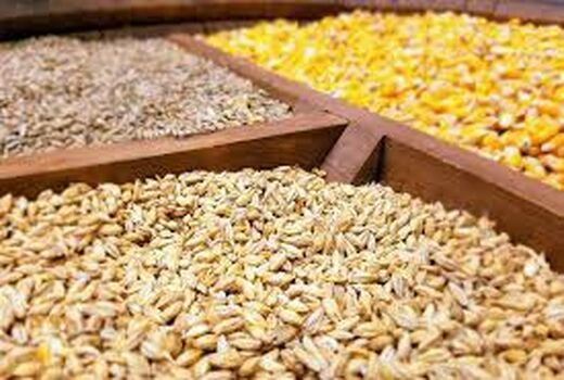 خرید توافقی ۵۲ هزار تن نهاده در تعاونی روستایی خراسان شمالی