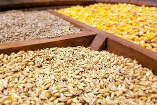 خرید توافقی ۵۲ هزار تن نهاده در تعاونی روستایی خراسان شمالی