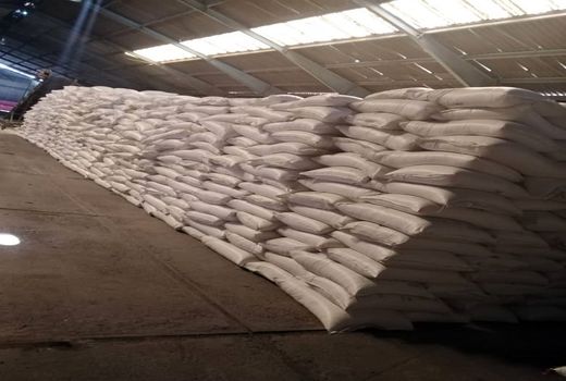 توزیع ۳ هزار و ۲۰۰ تن کودشیمیایی در استان هرمزگان