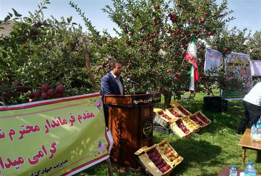  تولید بیش از52 هزار تن انواع محصولات باغی در شهرستان هشترود