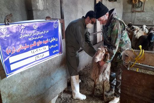 ارائه 170 هزار خدمت رایگان در اردوهای جهادی دامپزشکی آذربایجان شرقی