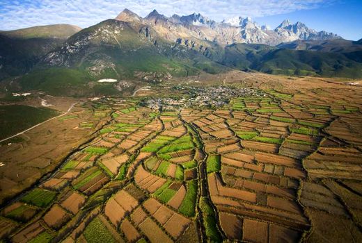 پچ گیاهی پاییزه در چین 