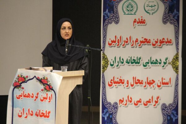 75درصد سطح زیر کشت گلخانه به محصولات سبزی و صیفی اختصاص دارد 