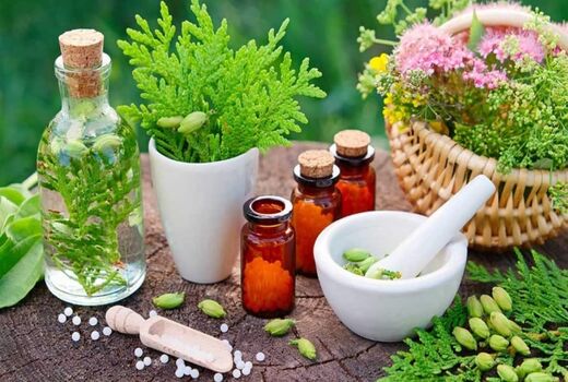 پیش‌بینی تولید ۴۵۰ هزار تن گیاهان دارویی در سال جاری