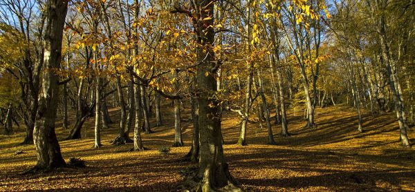 قدر دانی مدیرکل منابع طبیعی خراسان شمالی از مردم به دلیل مشارکت خوب در حفظ سرمایه‌های ملی و منابع طبیعی