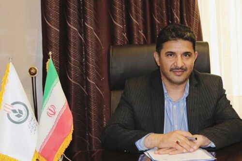 خرید ۲۲۵ هزار تن گندم تولیدی فارس