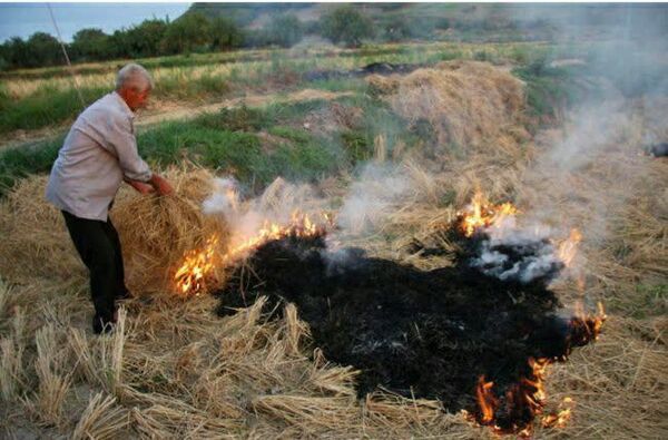 کشاورزان از آتش زدن بقایای گیاهی در مزارع کشاورزی خودداری کنند 